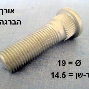 YSBRNI28056  |  גוז'ונים  |  חליפי  |  GREEN